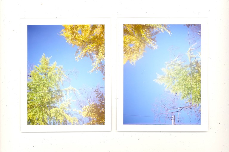 Thanksfotocard - Copy